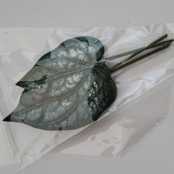 ASSORTED PACKAGES FAUX PICKS LEAVES - Picture 3 of 4